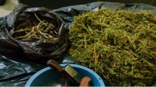 مراكش: ايقاف “بزناس”متلبس بترويج الكيف