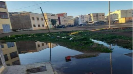 معاناة ساكنة حي شعبة بصفرو من فيضانات تسببت بها مياه سقي الحقول