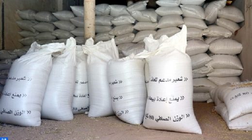 أكثر من 693 ألف قنطار من الشعير المدعم لفائدة مربي الماشية