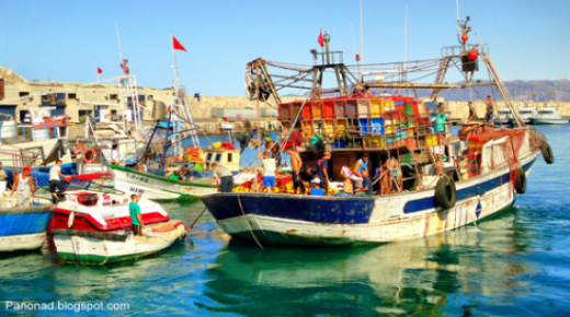 الحسيمة .. حملة تحسيسية لفائدة البحارة ومهنيي الصيد البحري حول أهمية السلامة البحرية