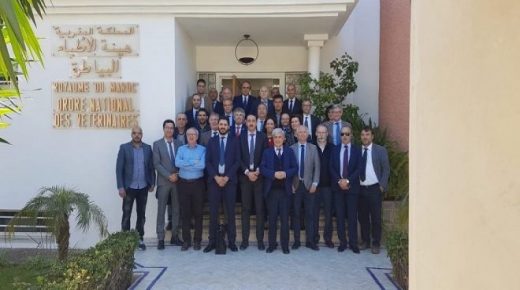 الهيئة الوطنية للأطباء البياطرة تجدد مجالسها