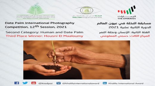 مغربي ضمن الفائزين في مسابقة التصوير الدولية “النخلة في عيون العالم”