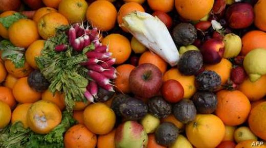 A picture taken on June 14, 2017 shows fruits and vegetable to be used for bio-waste at the NextAlim company at its headquarters in Poitiers. - NextAlim, a French pioneer in the valorisation of bio-waste by the insect, re-establishes this link to provide an economic and ecological response to the needs of protein production and the management of unused food materials. (Photo by GUILLAUME SOUVANT / AFP)