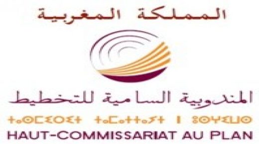 المندوبية السامية للتخطيط والبنك الدولي يعتزمان تعزيز تعاونهما