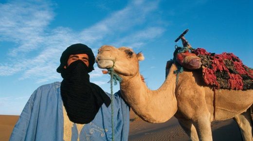 أزيد من 3 آلاف مرشد سياحي استفاد من التعويض الجزافي الممول من صندوق تدبير الجائحة