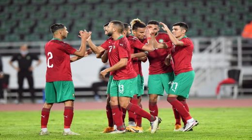 أسود أوروبا يستفسرون