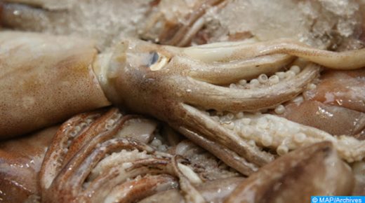 Covid-19 : Le Marché de gros aux poissons de Fès assure un bon niveau de couverture des besoins en matière de poissons. 22032020 - Fès 