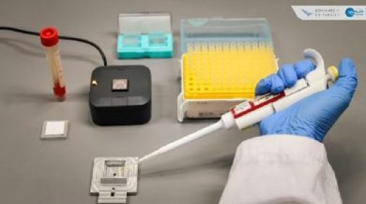 توقيف سيدة مشتبه في تورطها في الوساطة في تزوير شهادات الـPCR