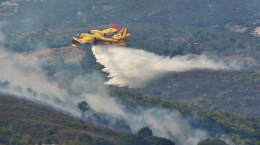 المياه والغابات: انخفاض المساحة المتضررة من الحرائق في الغابات بنسبة 47 في المائة إلى غاية 26 شتنبر الجاري