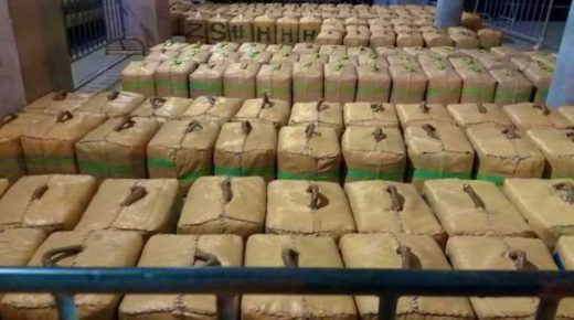 التهريب الدولي للمخدرات.. حجز طن و275 كيلوغرام من الشيرا بالقنيطرة