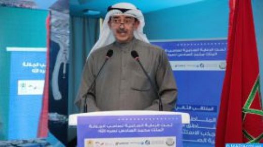تبادل التجارب الوطنية في مجال تقييم المطابقة لأجل سلامة المنتجات بالدول العربية موضوع لقاء نظمته المنظمة العربية للتنمية الصناعية والتقييس والتعدين