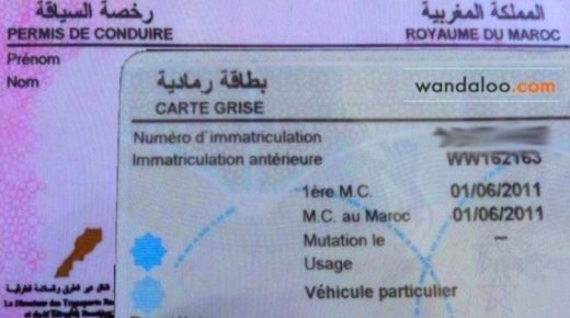 رخص السياقة والبطائق الرمادية تودع بـ”البريد”