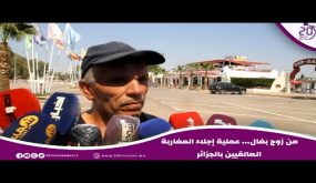 من زوج بغال… عملية إجلاء المغاربة العالقيين بالجزائر