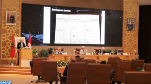 تدبير الأزمات الصحية.. التعاون الدولي ضروري للاستفادة من مزايا المجال الرقمي