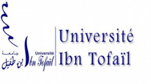جامعة ابن طفيل تتألق في تصنيفين دوليين مرموقين وتحتل المراتب الأولى بالمغرب في مجالات الهندسة والتكنولوجيا والمعلوميات والعلوم الفيزيائية