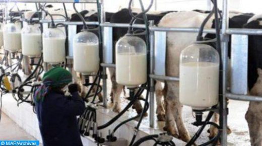 الزبادي والأنظمة الغذائية الغنية بالألياف وعلاقتها بالإصابة بسرطان الرئة