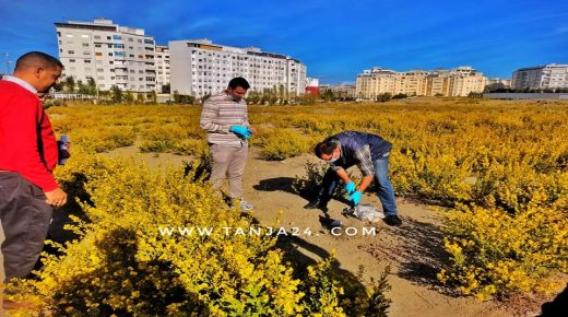 استنفار أمني بطنجة بعد العثور على جثة قطة قرب “مجمع “إبراهيم الخليل