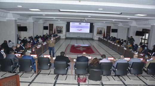 وفد رفيع المستوى من الدول الافريقية الصديقة يؤدي زيارة دراسية للمركز التلقيح الرقمي المندمج