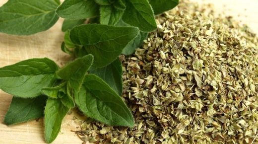 علماء النبات يكتشفون مواد مضادة للسرطان في هذه الأعشاب