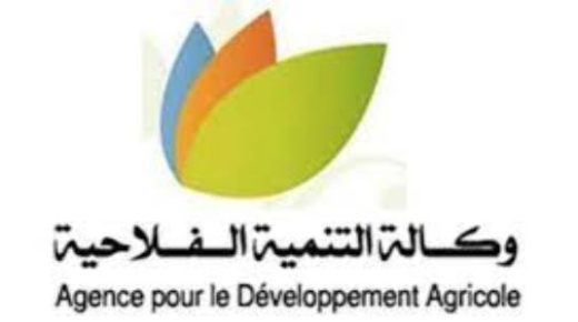 جهة الدار البيضاء- سطات : لقاء حول التجميع الفلاحي من الجيل الجديد