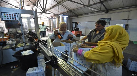Tunisian women box bottles of wine at the Neferis vineyard in the wine-producing region of Grombalia, some 40 kilometres (25 miles) southeast of the capital Tunis, on September 16, 2016. The ancient culture of winemaking is undergoing something of a revival in this overwhelmingly Muslim-majority country which has a reputation of being one of the most liberal in the Arab world. / AFP PHOTO / FETHI BELAID / TO GO WITH AFP STORY BY GUILLAUME KLEIN