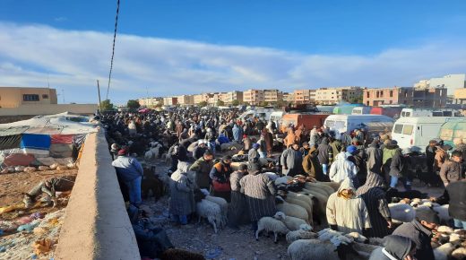 ميسـور…الصنـك يدفـع بائعـي المـواشـي إلـى مقاطعـة السـوق الاسبـوعـي