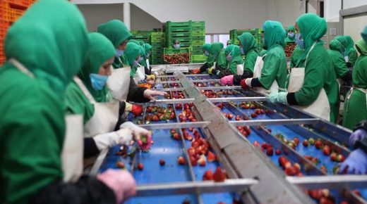 أرباب المقاولات الصناعية بالمغرب يتوقعون ارتفاعا في المبيعات