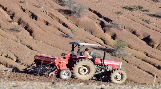 باحث اقتصادي يدعو إلى صندوق وطني ضد الجفاف لإنقاذ قطاع الفلاحة