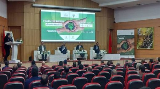 تنظيم اللقاء الجهوي في إطار القافلة الوطنية حول التجميع الفلاحي من الجيل الجديد