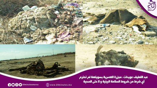 مجزرة السويهلة تجعل من محيطها كارثة بيئية و المهني القطاع يطالبون بالتدخل العاج