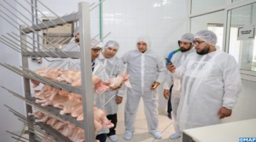 مدير الفيدرالية البيمهنية لقطاع الدواجن يدعو إلى تحسين ظروف الذبح داخل المجازر