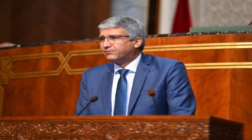 محمد الصديقي يكشف أن تمت زيارة 23 ألف خلية نحل في إطار تتبعها المستمر لحيثيات ملف اختفاء الخلايا