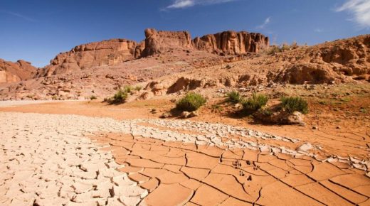 المنتدى المغربي – الأوروبي للشباب يضطلع بدور الشباب الحاسم في مكافحة التغيرات المناخية