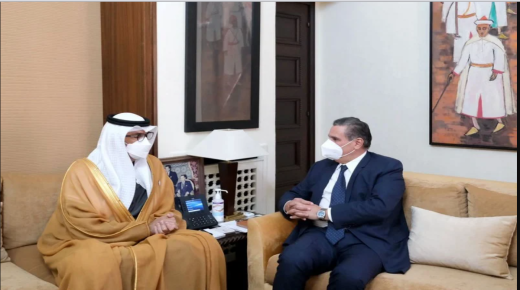 عزيز اخنوش يجري مباحثات مع وزير الصناعة والتكنولوجيا المتقدمة الإماراتي