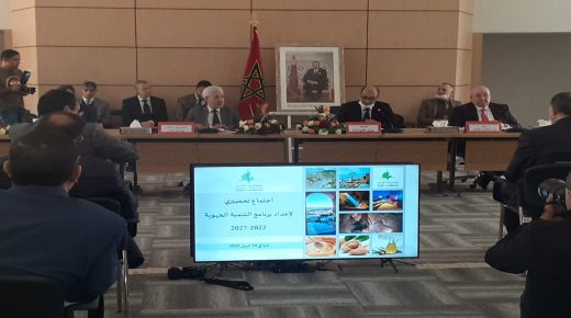 تازة: عامل الاقليم ورئيس جهة فاس/مكناس يشرفان على إفتتاح الإجتماع التحضيري إقليميا لإعداد برنامج التنمية الجهوية27/22.