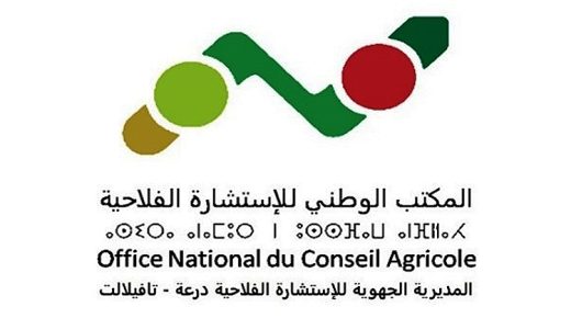 المديرية الجهوية للاستشارة الفلاحية لجهة درعة تافيلات تطلق منصة للابتكار حول قطاع نخيل التمر