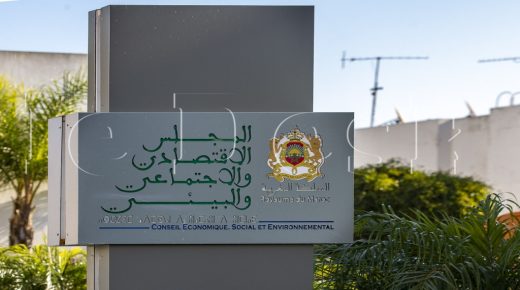 الشامي : المجلس الإقتصادي والإجتماعي والبيئي يملك سلطة استشارية فقط