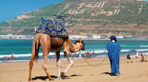 وزيرة السياحة تكشف عن استراتيجية شاملة لتجاوز الآثار السلبية التي خلفتها الجائحة بالقطاع السياحي.