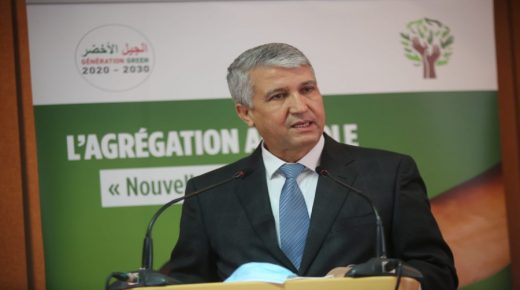 الصديقي: برنامج تقليص الفوارق المجالية والاجتماعية حقق “نتائج مذهلة”.