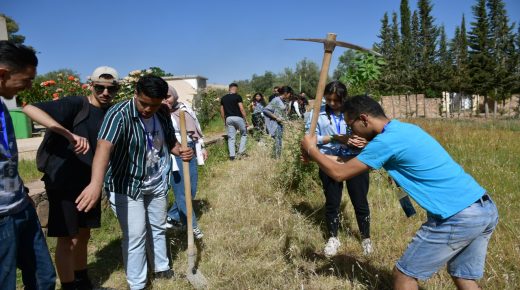 المدرسة العليا للتكنولوجيا بوجدة تحتفل باليوم العالمي للبيئة وطلبتها ينخرطون في حملة للنظافة والتشجير