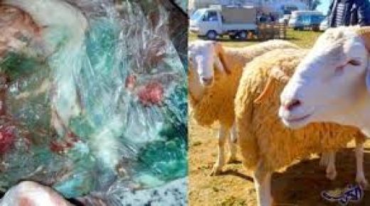 الجامعة المغربية لحماية المستهلك تحذر من ” اخضرار لحوم الاضاحي”