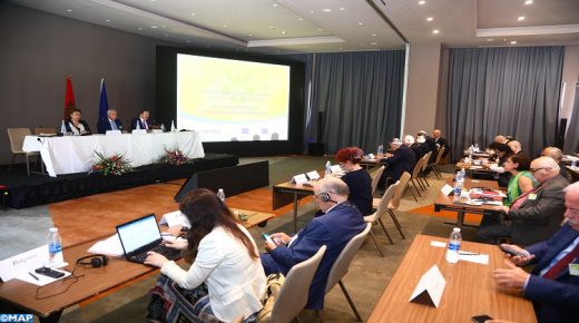 Ouverture des travaux de l’édition 2022 du Sommet Euro-Méditerranéen des Conseils Economiques et Sociaux et Institutions Similaires, sous le thème « La COVID-19: le rôle de la société civile dans la reconstruction et la résilience de la région euro-méditerranéenne", le Sommet euro-méditerranéen des conseils économiques et sociaux et institutions similaire ». 31052022-Marrakech
