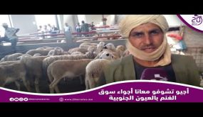 أجيو تشوفو معانا أجواء سوق الغنم بالعيون الجنوبية￼