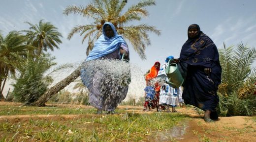 Mauritanian women water 08 June 2002 a garden in the middle of the desert in the village of Barkeol, some 900 kms from the capital Nouakchott. "The entire country is menaced by advancing sands, which destroy fertile lands," according to Mauritanian Minister of Rural Development and Environment Moustapha Ould Maoulou, who added that "poverty in Mauritania is synonymous with desertification because the majority of those living in abject poverty in our country are former nomads who have lost everything with the sand and drought." The head of the UN Food and Agriculture Organization (FAO), Jacques Diouf of Senegal, said 10 June 2002 that famines caused by drought, flooding and wars stir up world emotions while chronic hunger affecting more than 800 million people "only meets indifference." (Photo by GEORGES GOBET / AFP)
