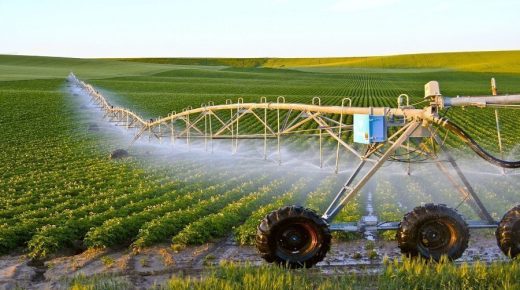  الجامعة المغربية لحقوق المستهلك تدعو الحكومة إلى اتخاذ جميع الاجراءات الضرورية لضمان انطلاقة الموسم الفلاحي في ظروف ملائمة.