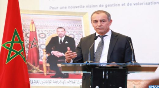 رئيس المجلس الاقتصادي والاجتماعي والبيئي يدعو إلى تحويل أي استراتيجية رياضية وطنية إلى سياسة عمومية عملية.