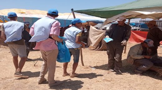 شركة “أمانديس” تطلق حملة تحسيسية لتشجيع المواطنين بطنجة ووتطوان وضواحيهما على حماية شبكة التطهير