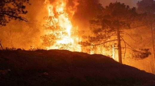 خبير: أسباب بشرية في الغالب وراء اندلاع النيران في عدد من الغابات بشمال المغرب.