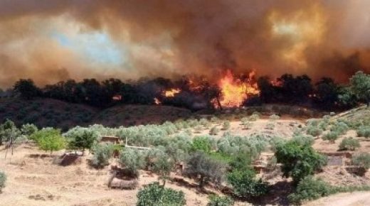 الجمعية المغربية لحقوق الإنسان طالب الحكومة بتعويض كل المتضررين عن الخسائر والأضرار جراء الحرائق.