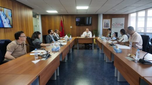 لقاء تشاوري حول الكفاءات المغربية بالخارج في المجال الصحي بالرباط.